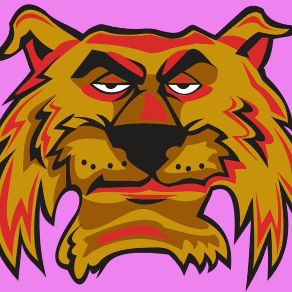 WILDCAT HD0503 RQC Thumbnail