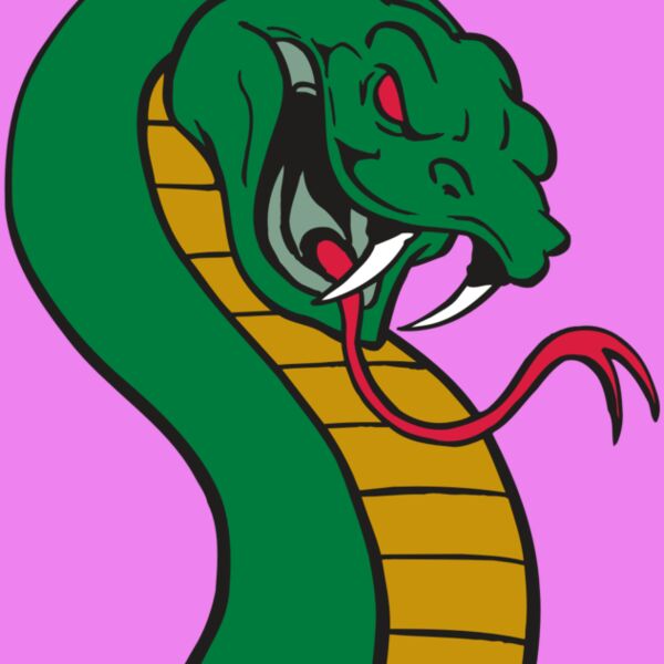 AR SNAKE 12 RC Thumbnail