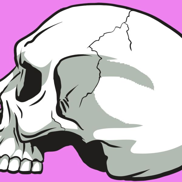 AR24 SKULL 11 RQC Thumbnail