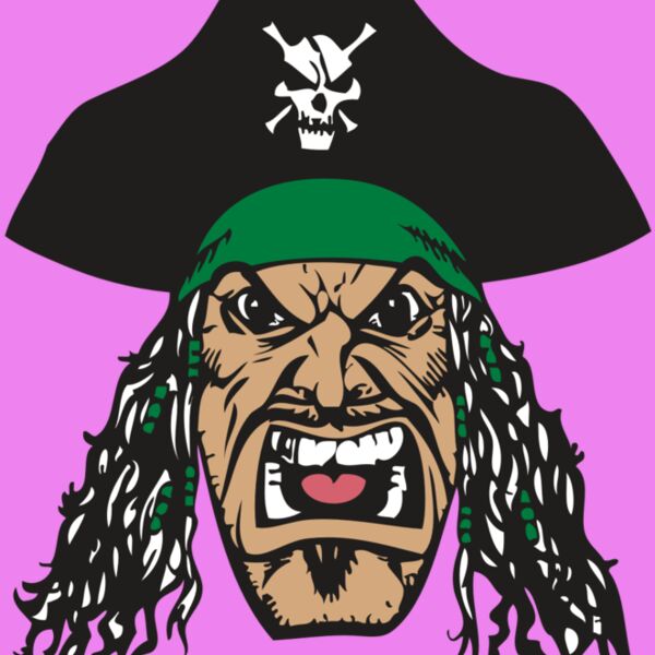 BAW PIRATE 08 RC Thumbnail