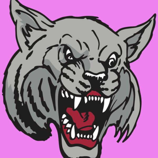 AR WILDCAT 42 RC Thumbnail