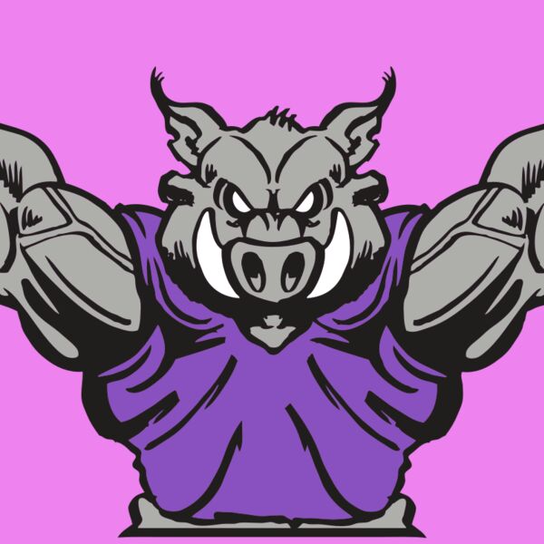 AR RAZORBACK 10 RC Thumbnail