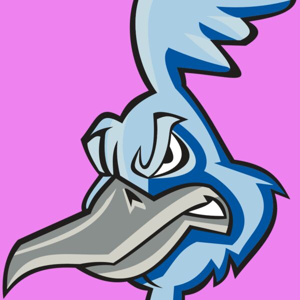ROADRUNNER HD0501 RQC Thumbnail