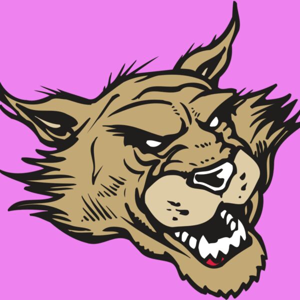 AR WILDCAT 39 RC Thumbnail