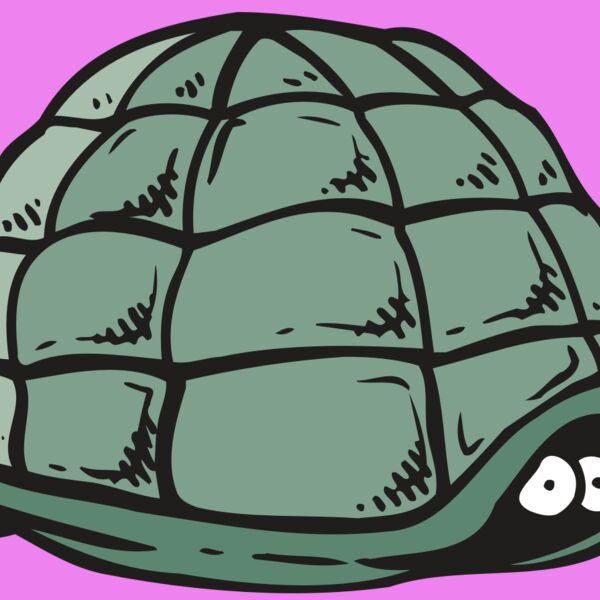 AR5 Turtle 10 RQC Thumbnail