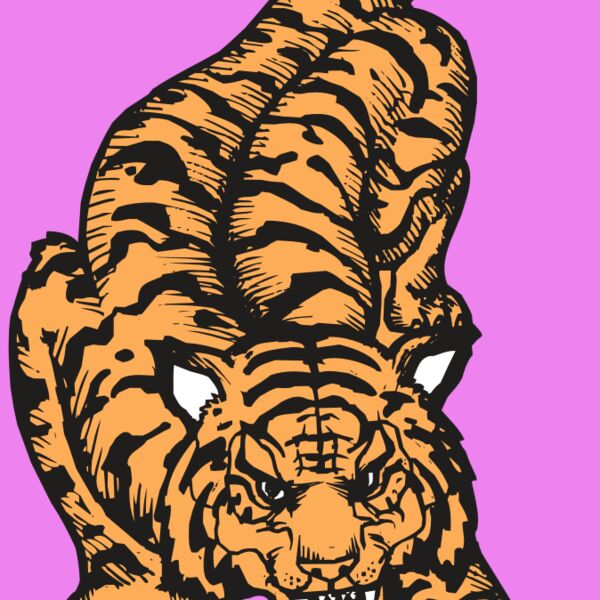 BAW TIGER 01 RC Thumbnail