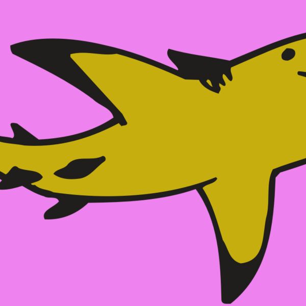 AR  SHARK 32 RC Thumbnail