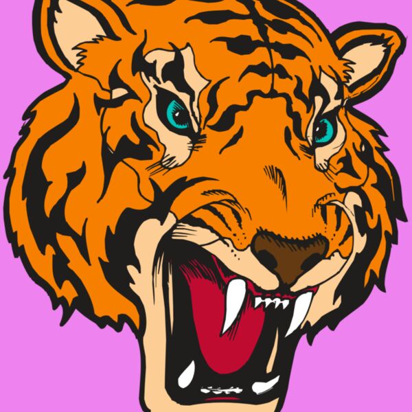 BAW TIGER 12 RC Thumbnail