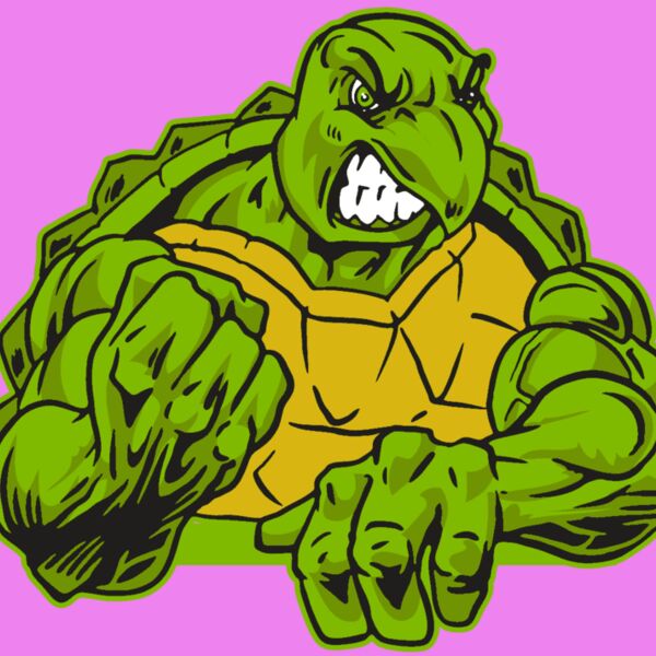 AR31 TURTLE 01 RQC Thumbnail