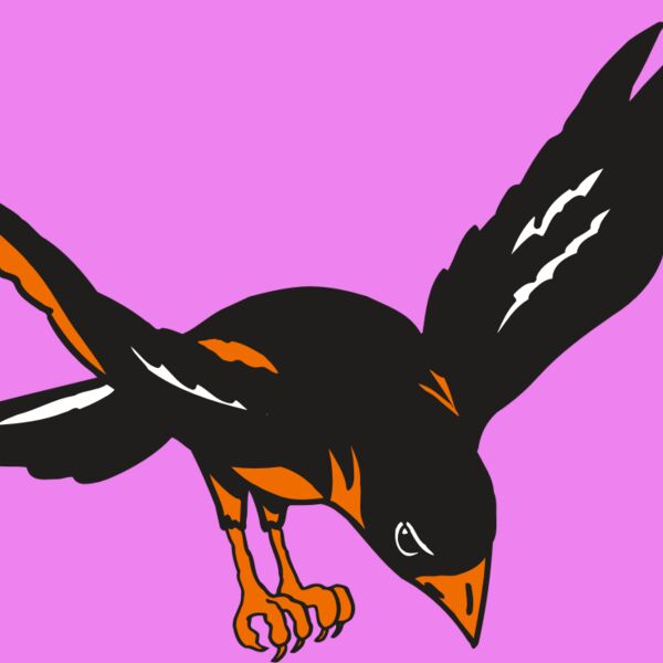 AR ORIOLE 16 RC Thumbnail