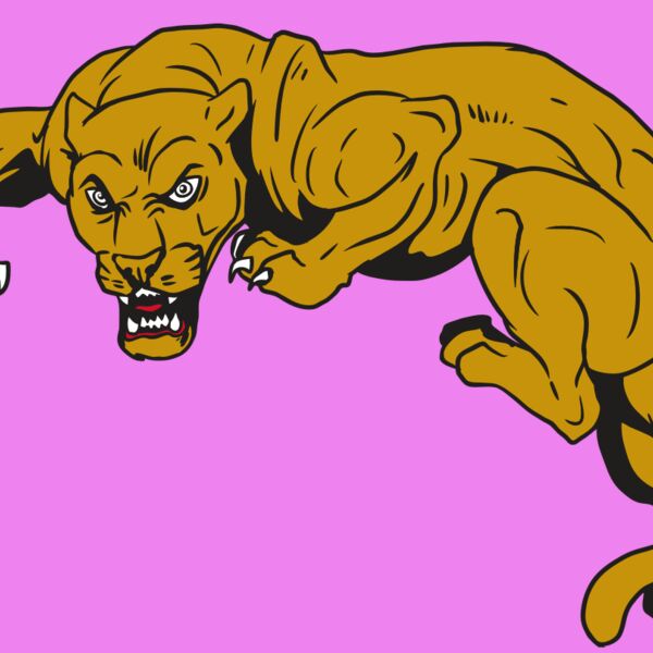 AR10 PANTHER 02 RQC Thumbnail