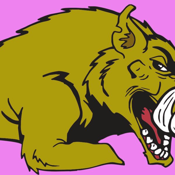 AR RAZORBACK 23 RC Thumbnail
