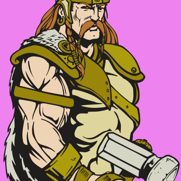 AR VIKING 38 RC Thumbnail