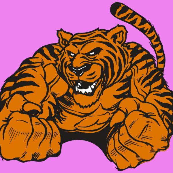AR TIGER 55 RC Thumbnail