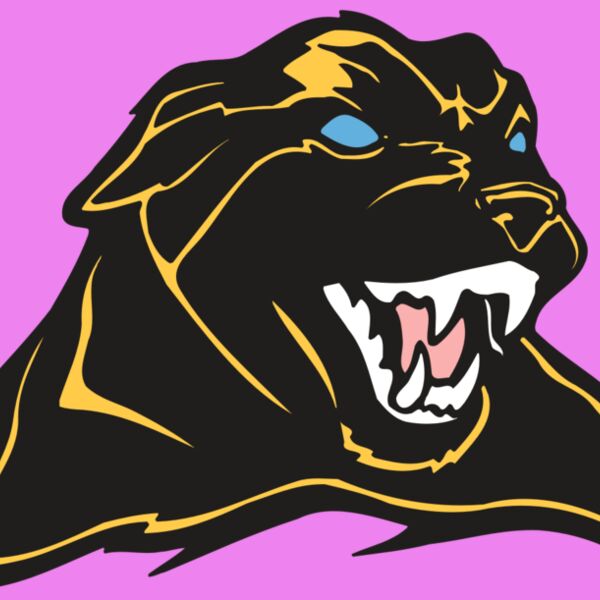 AR COUGAR 42 RC Thumbnail