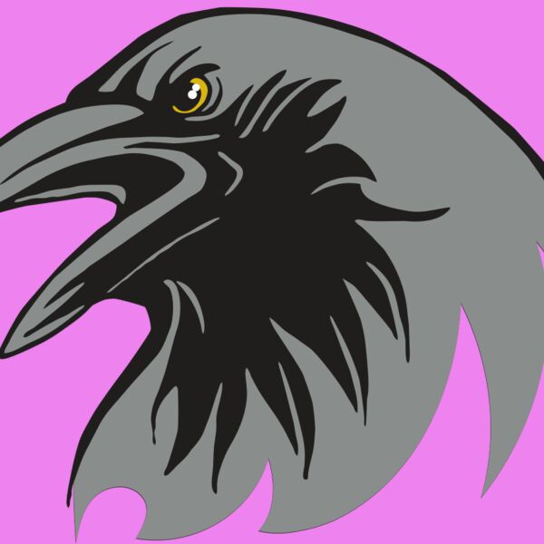 AR31 RAVEN 02 RQC Thumbnail