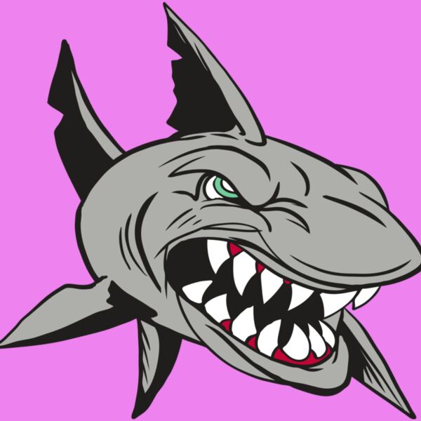 AR4 SHARK 01 RQC Thumbnail