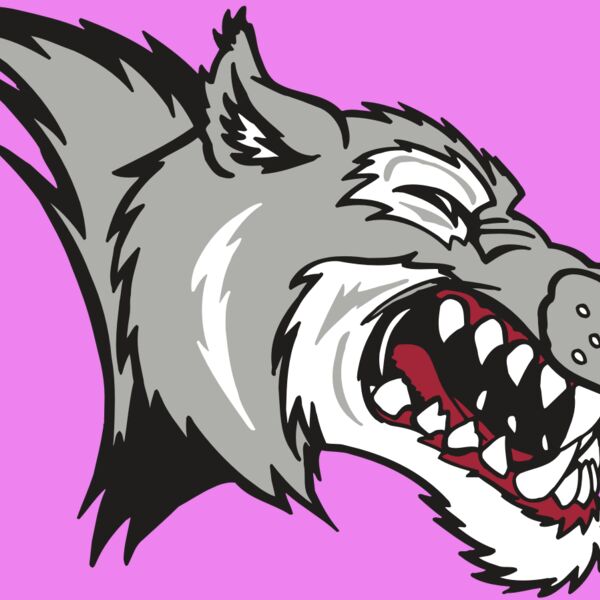 AR WOLF 15 RC Thumbnail