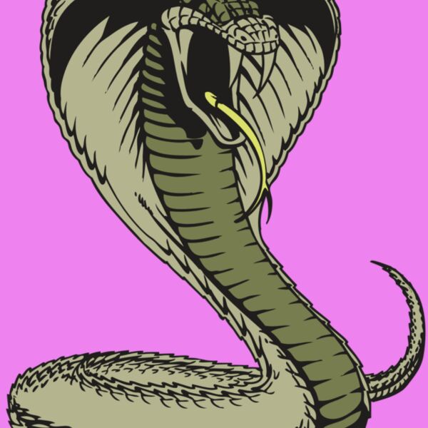 BAW SNAKE 07 RC Thumbnail