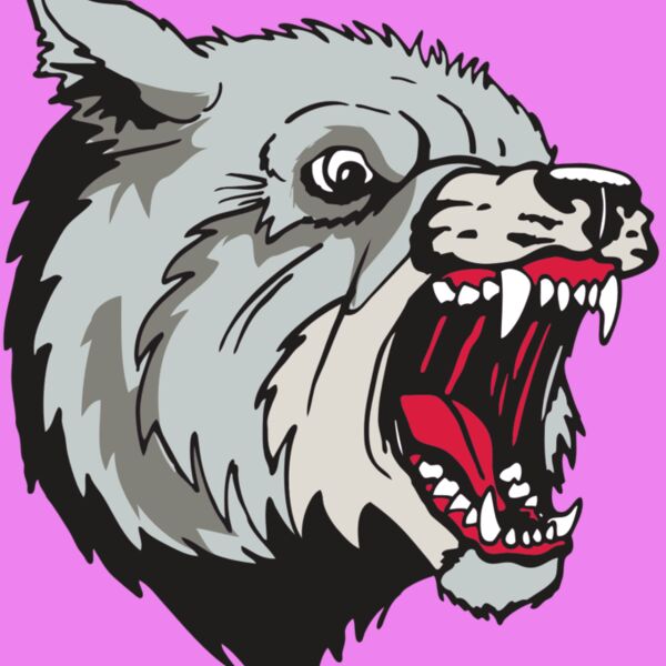 AR WOLF 38 RC Thumbnail