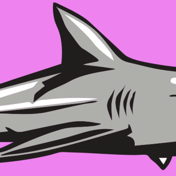 AR9 SHARK 01 RQC Thumbnail