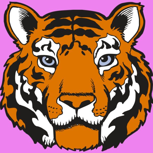 BAW TIGER 02 RC Thumbnail