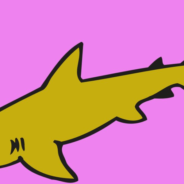 AR  SHARK 31 RC Thumbnail