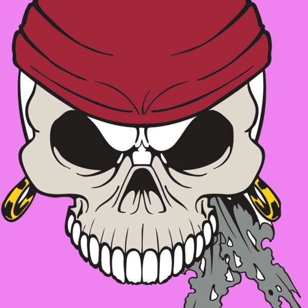 AR PIRATE 79 RC Thumbnail