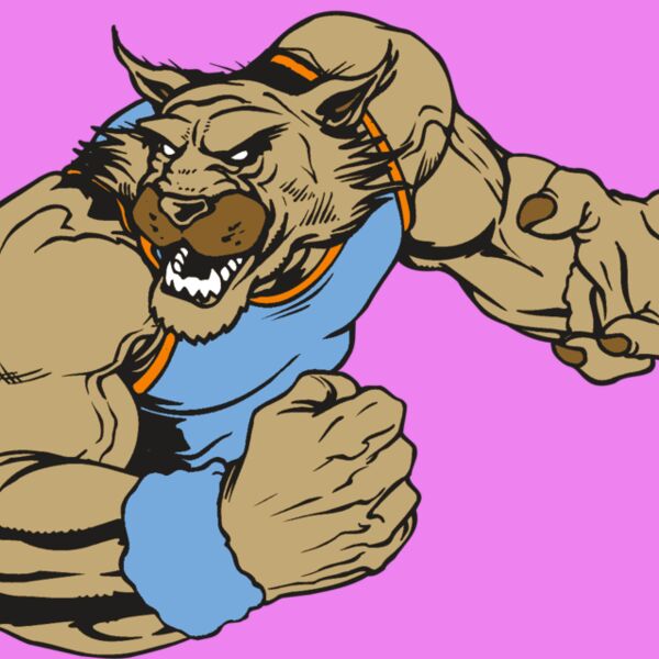 AR WILDCAT 46 RC Thumbnail