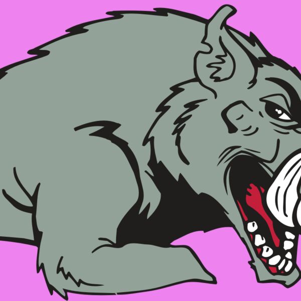 AR RAZORBACK 14 RC Thumbnail
