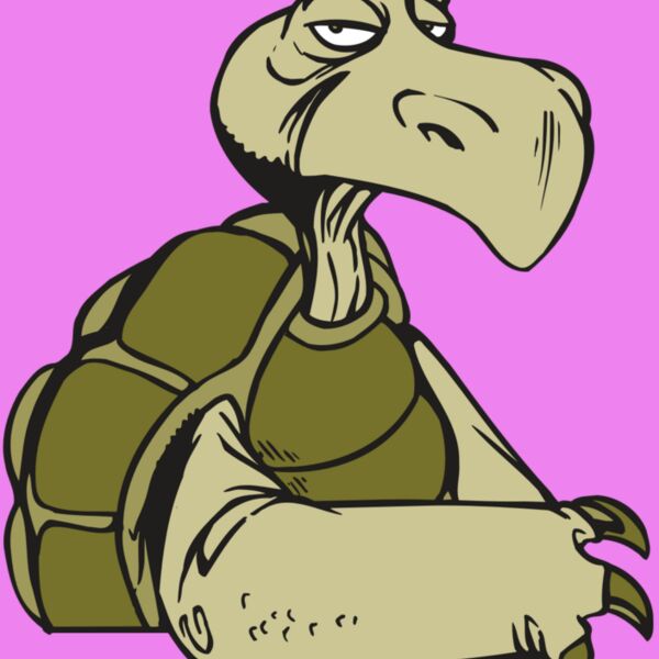 AR5 Turtle 01 RQC Thumbnail
