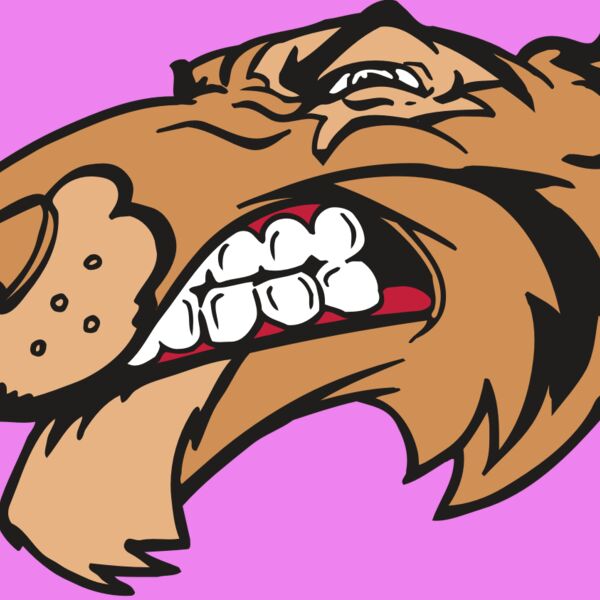 AR5 Tiger 13 RQC Thumbnail