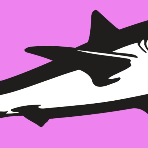 AR5 Shark 15 RQC Thumbnail