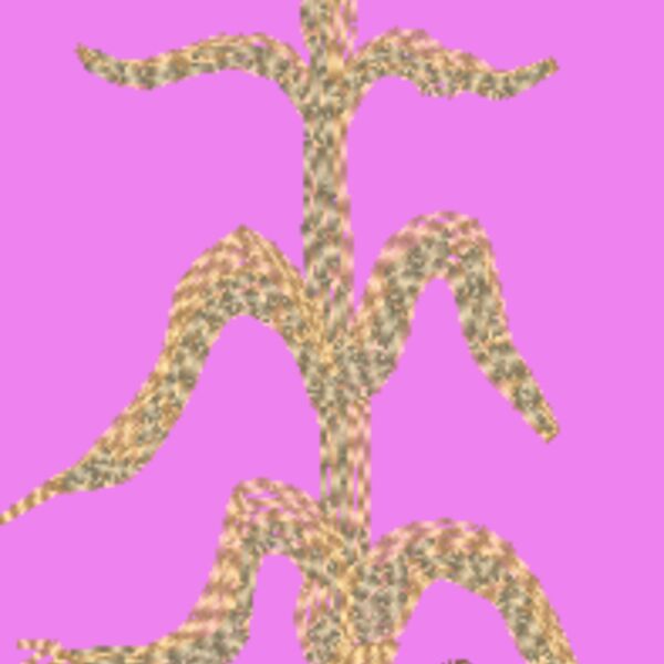 FP027 Thumbnail