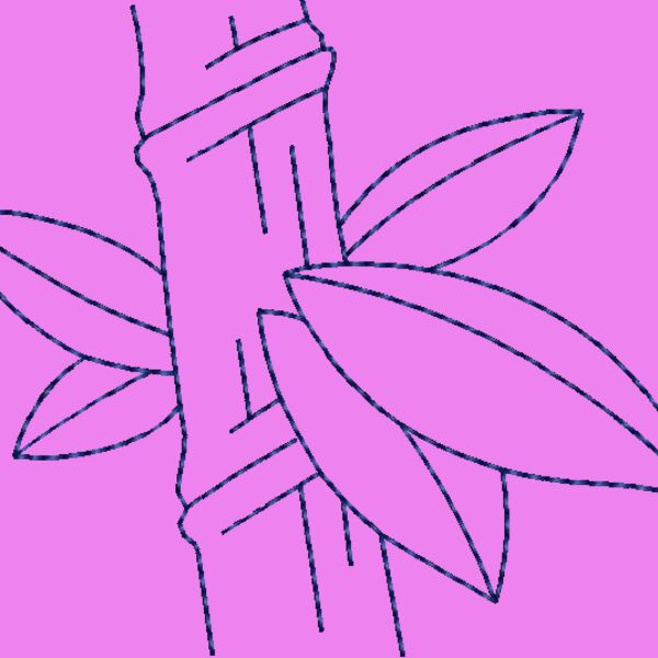 NZ519 Thumbnail