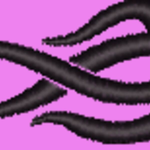 NZ786 Thumbnail