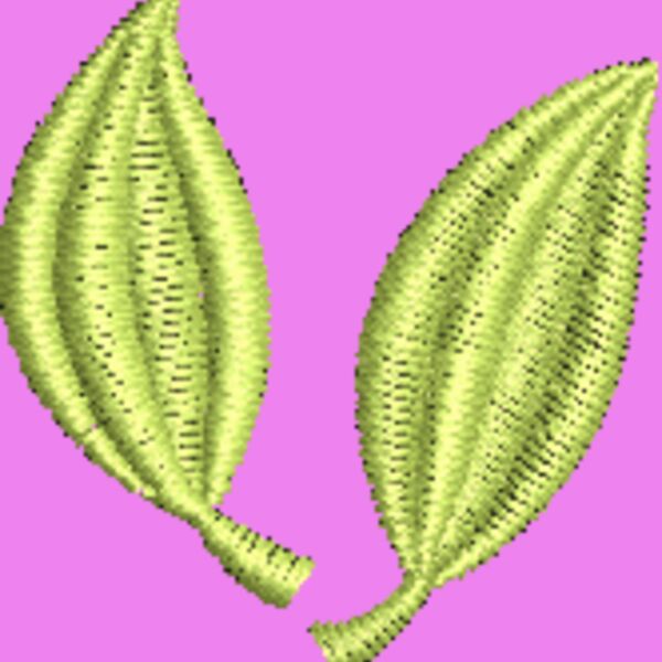 NZ797 Thumbnail