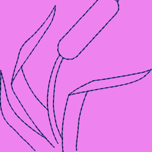 NZ521 Thumbnail