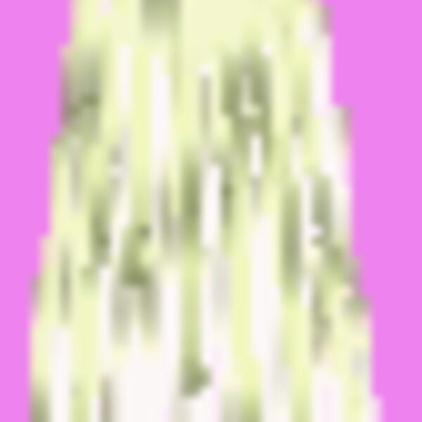NA643 Thumbnail
