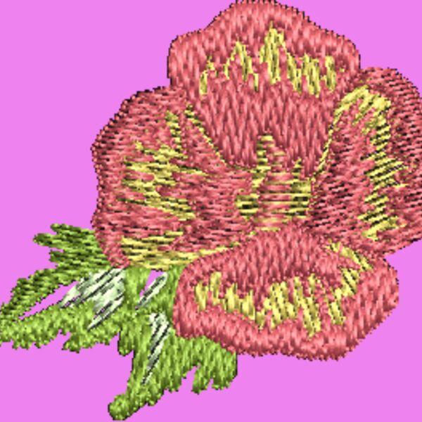330595 Thumbnail