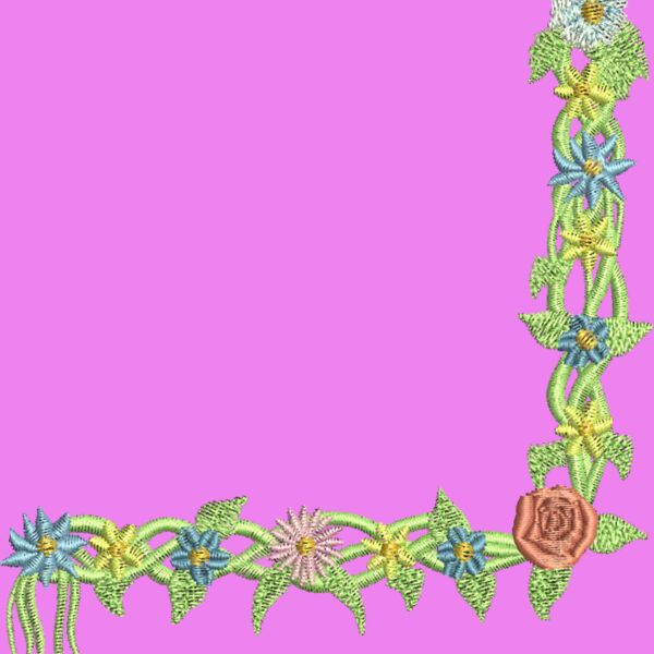 FP203 Thumbnail
