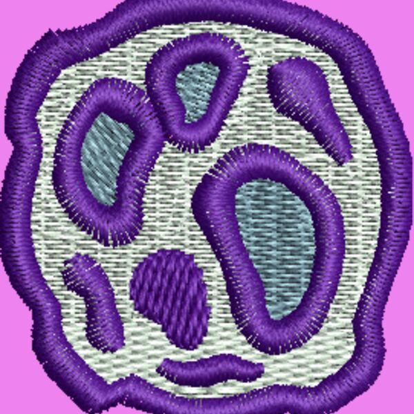CI958 Thumbnail
