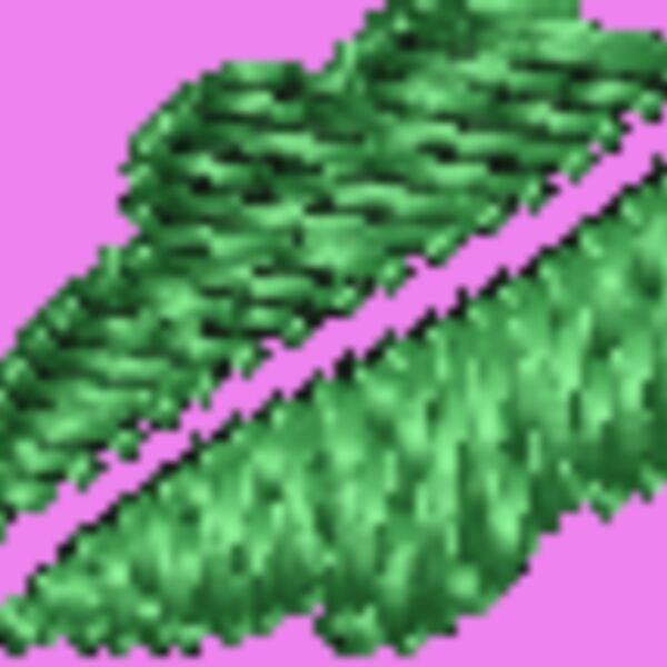 FP445 Thumbnail