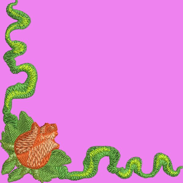 FP206 Thumbnail