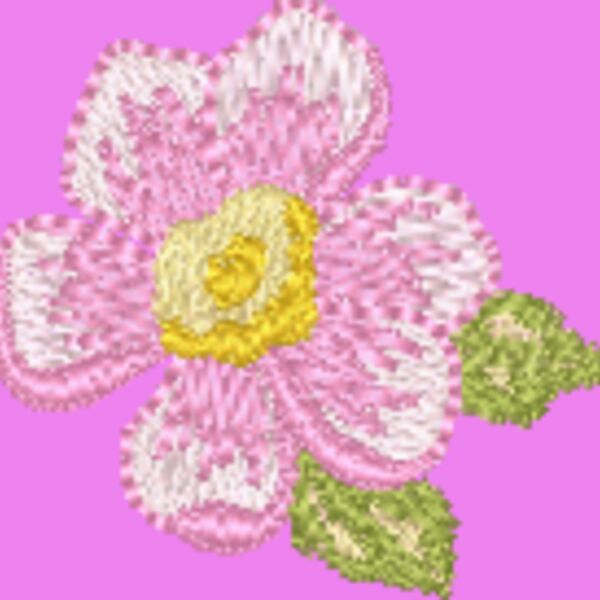 330600 Thumbnail